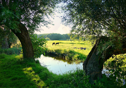 Wat zijn de voor- en nadelen van wonen in Noord-Brabant?