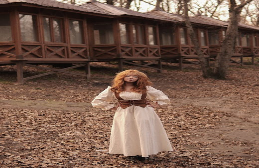 Waarom zijn Nederlandse dorpspompen verdwenen uit het straatbeeld