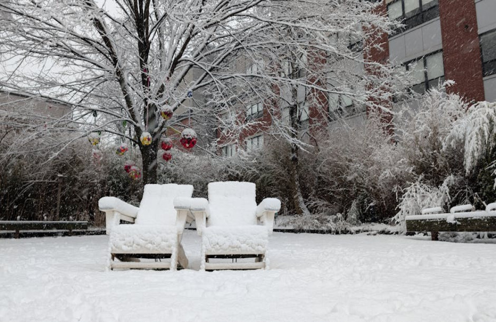 Waarom verhuizen zoveel Nederlanders naar een hofje en hoe werkt dat precies