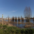 Wat zijn de leukste bezienswaardigheden in Zutphen voor een dagje uit