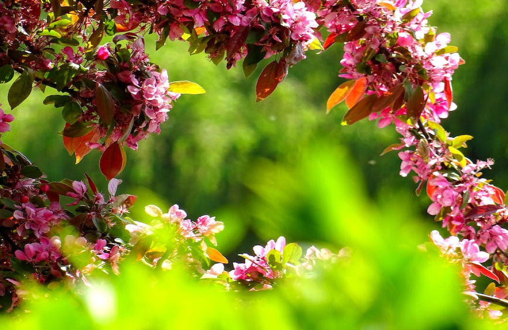Wat geef je cadeau aan een tuinliefhebber?