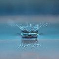 Waarom zijn sloten in Nederland zo belangrijk voor waterbeheer?