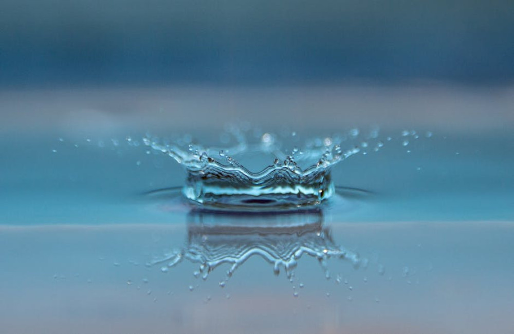 Waarom zijn sloten in Nederland zo belangrijk voor waterbeheer?