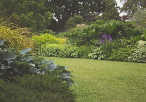 Onderhoudsvrij genieten van je tuin?